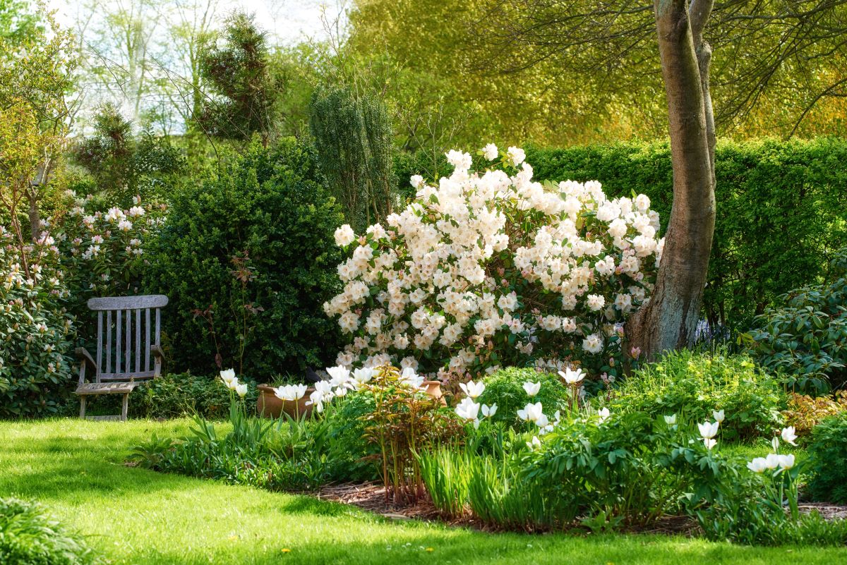 Ruhe im eigenen Garten — der perfekte Rückzugsort im Schwarz