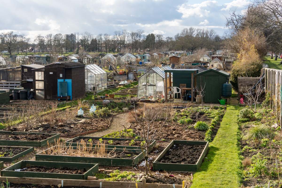 Schrebergarten im Schwarzwald-Baar-Kreis: Pacht, Regeln und 